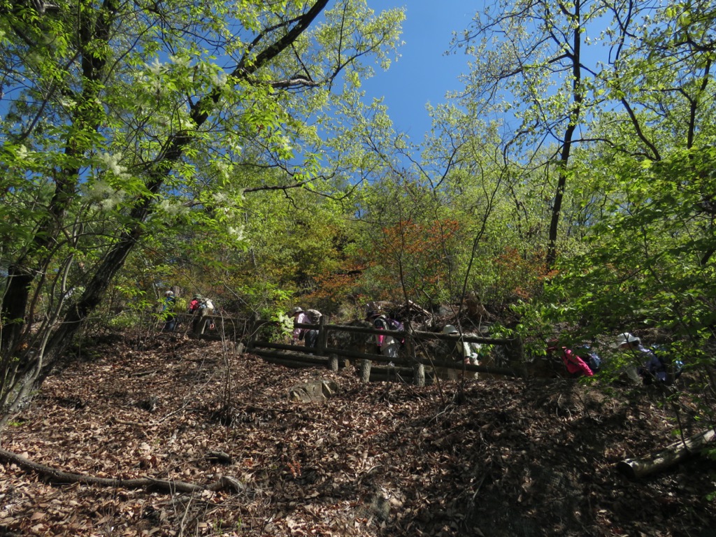 塩ノ山、緑の遊歩道