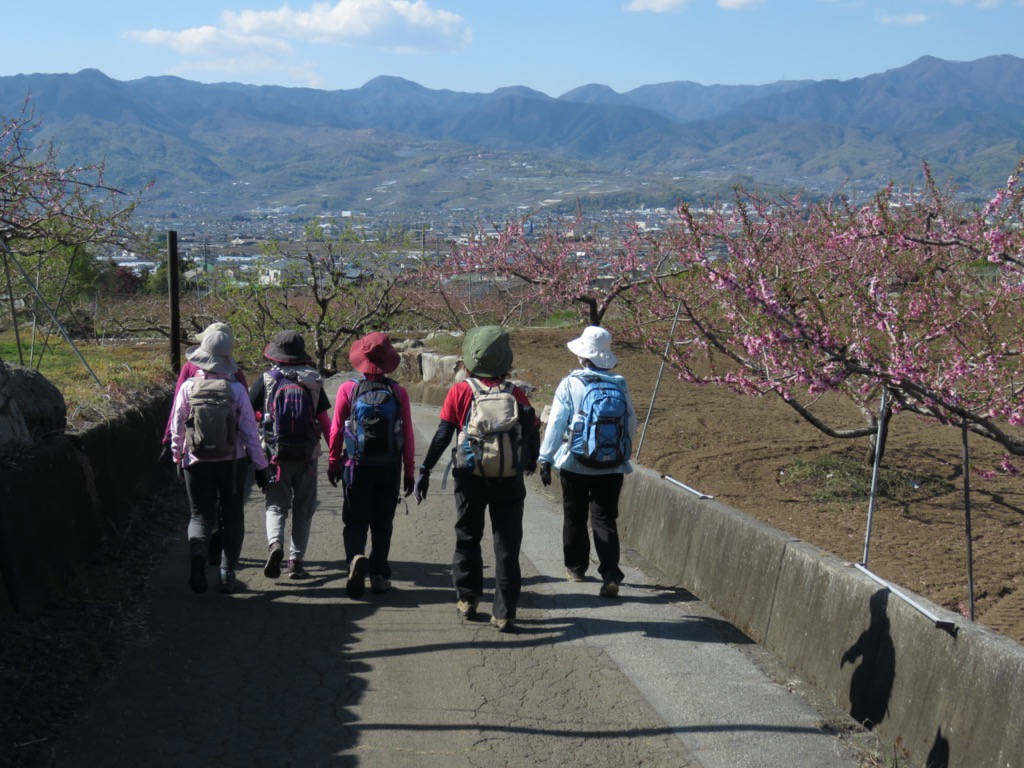 塩ノ山、釈迦堂から石和温泉へ、モモ畑