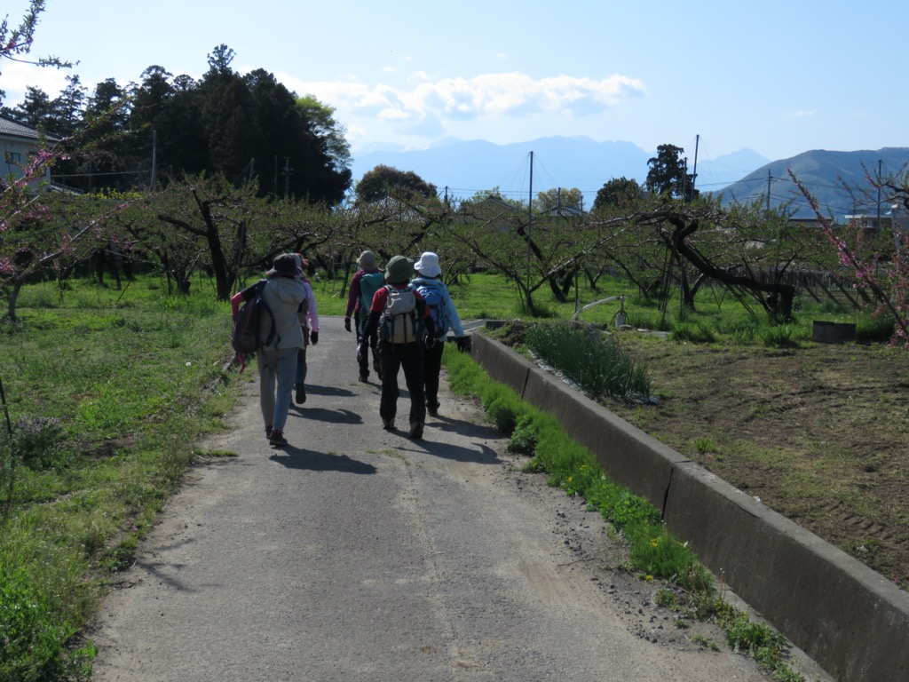 塩ノ山、釈迦堂から石和温泉へ、モモ畑