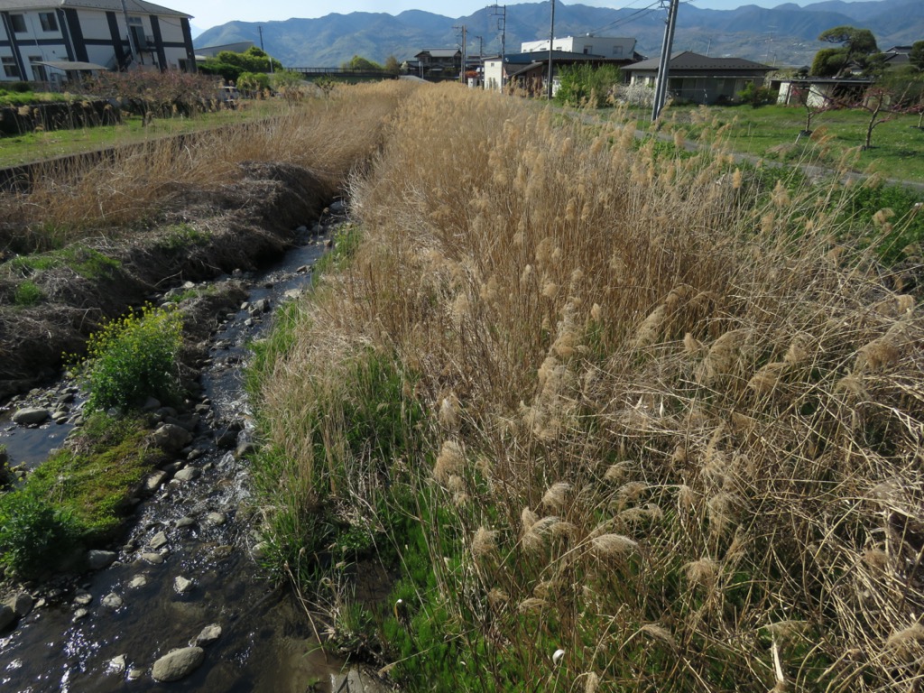 塩ノ山、釈迦堂から石和温泉へ、御手洗川