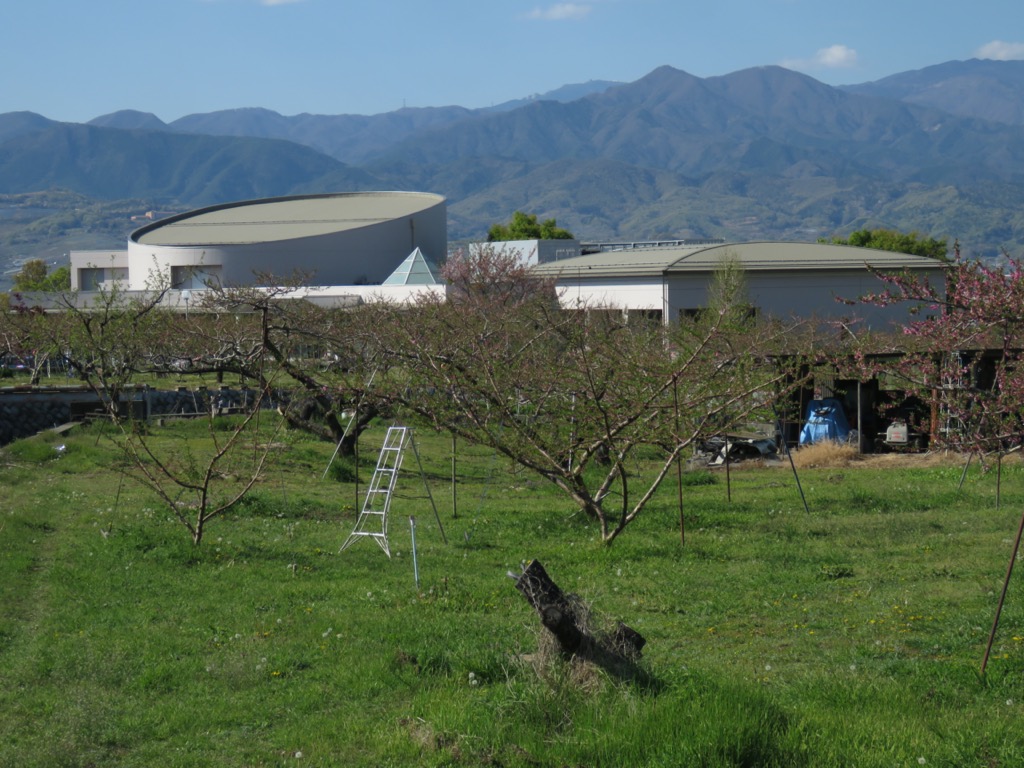 塩ノ山、釈迦堂から石和温泉へ、いちのみや桃の里ふれあい文化館