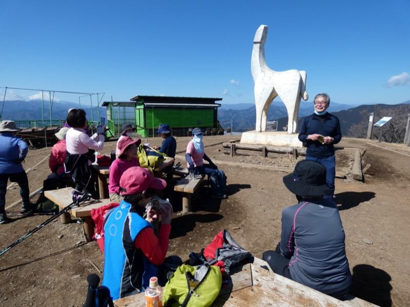 陣場山、高尾山