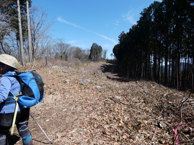 陣場山、高尾山