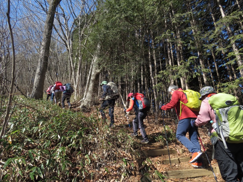 陣場山、高尾山