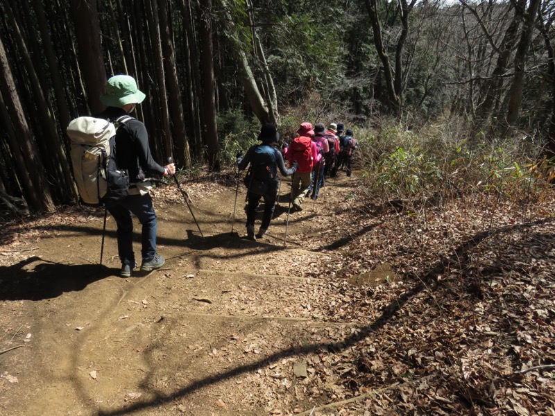 陣場山、高尾山