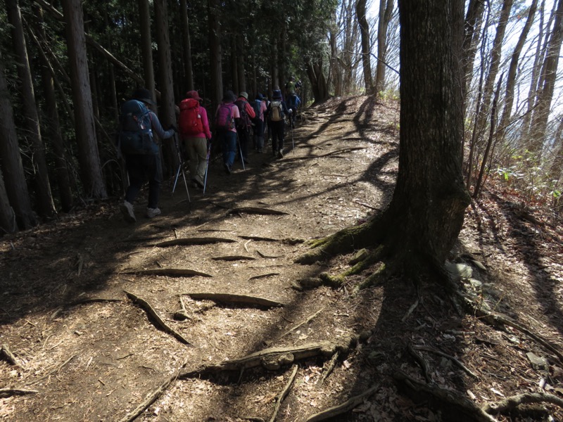 陣場山、高尾山