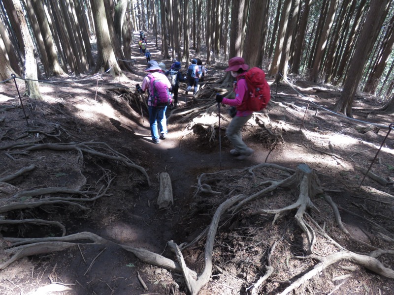 陣場山、高尾山