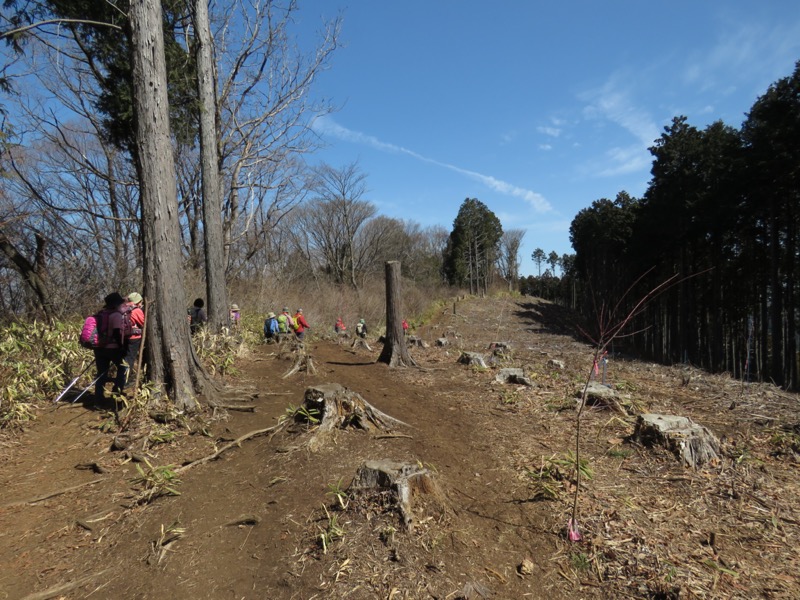 陣場山、高尾山