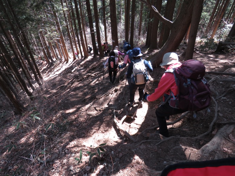 陣場山、高尾山