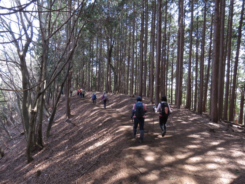 陣場山、高尾山