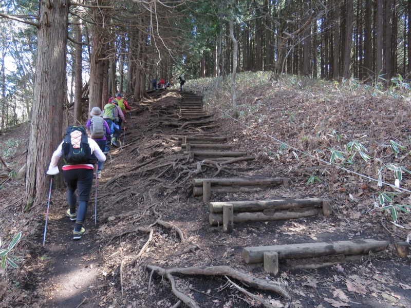 陣場山、高尾山