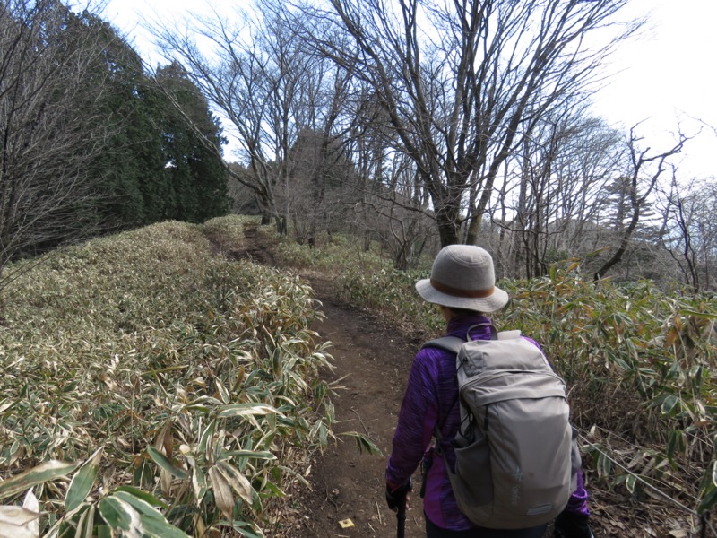 陣場山、高尾山