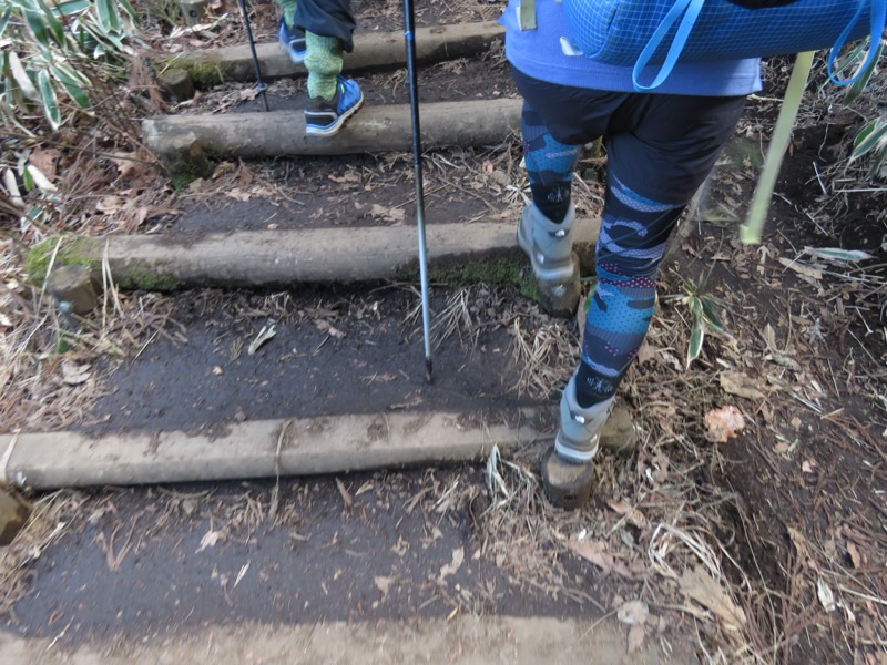 陣場山、高尾山