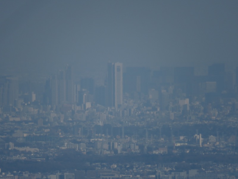 陣場山、高尾山