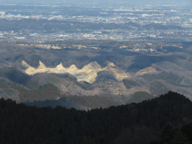 陣場山、高尾山