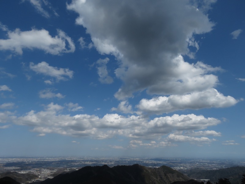 陣場山、高尾山