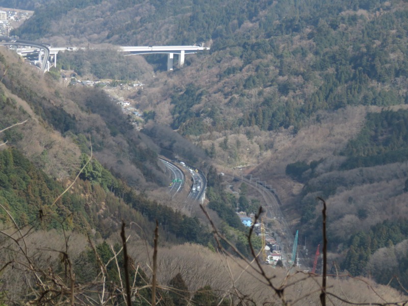 陣場山、高尾山