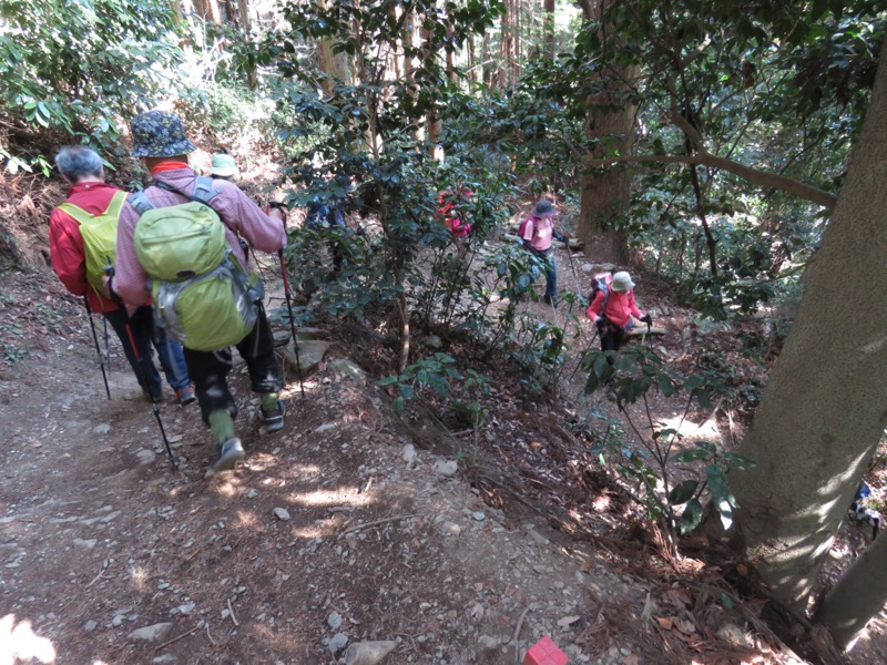 陣場山、高尾山