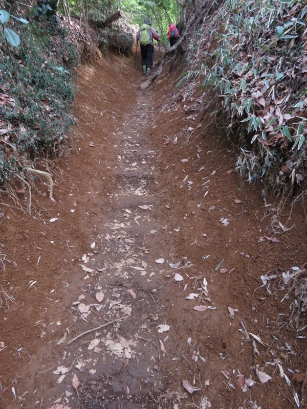 陣場山、高尾山