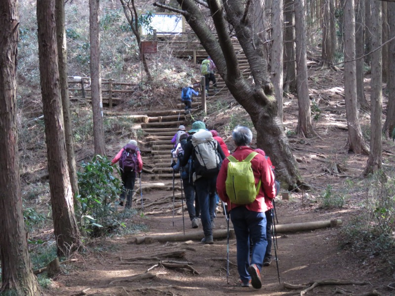 陣場山、高尾山