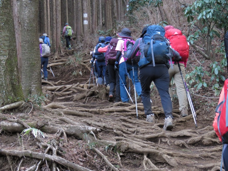 陣場山、高尾山