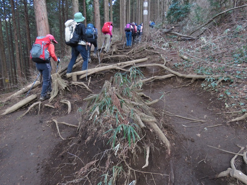 陣場山、高尾山