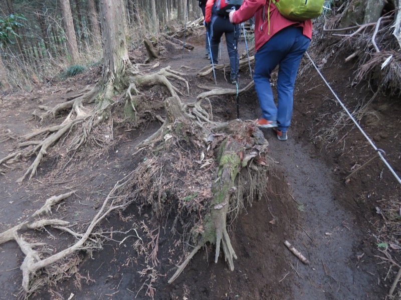 陣場山、高尾山