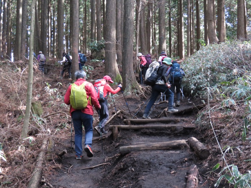 陣場山、高尾山