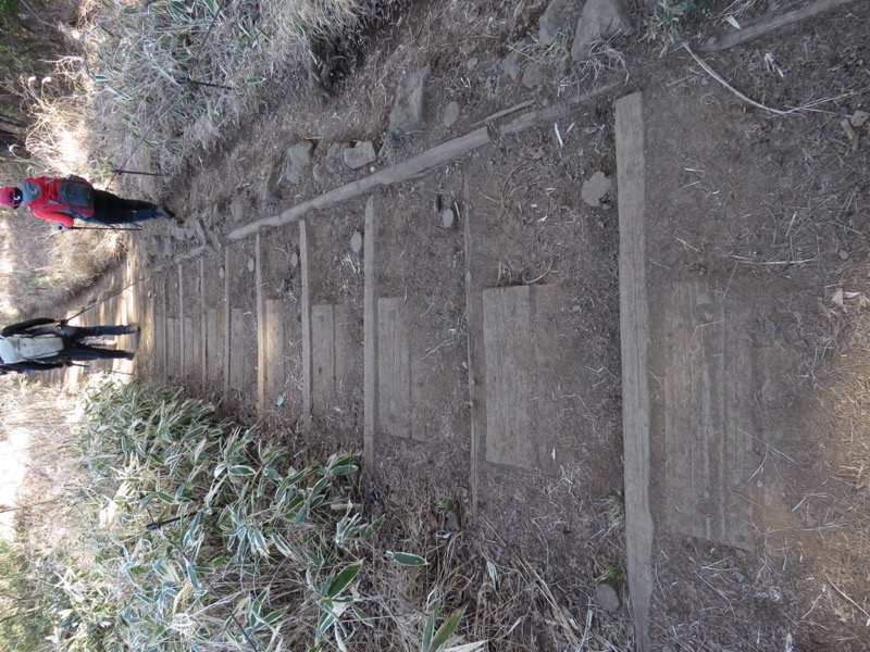 陣場山、高尾山