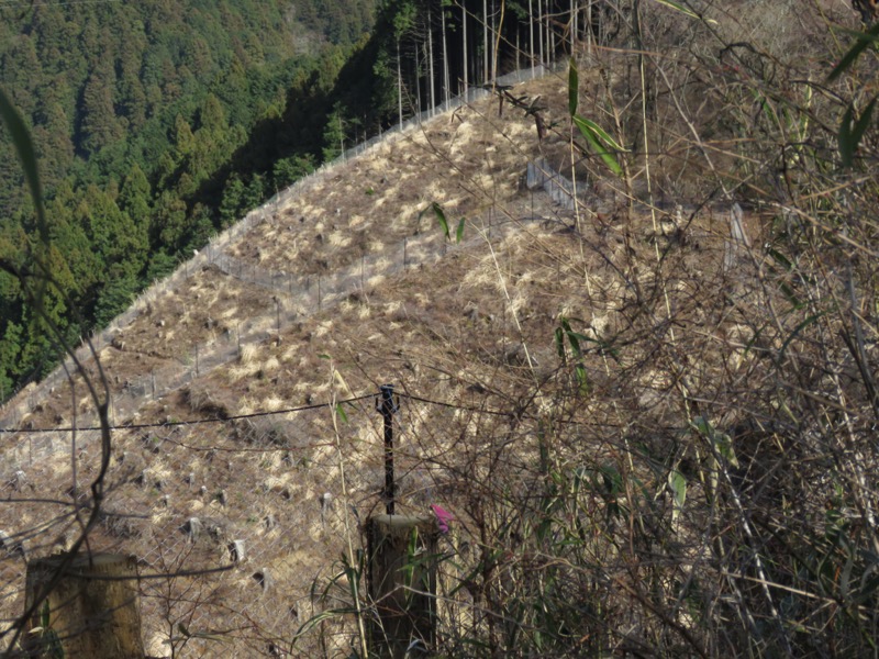 陣場山、高尾山