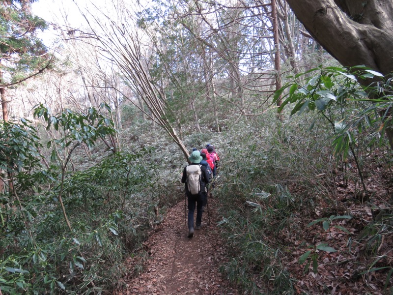 陣場山、高尾山