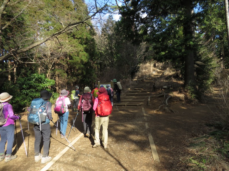 陣場山、高尾山