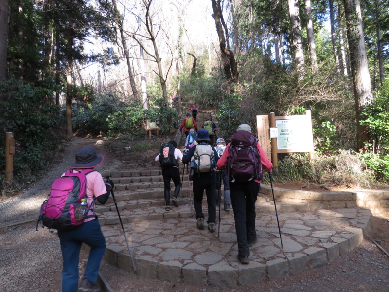 陣場山、高尾山