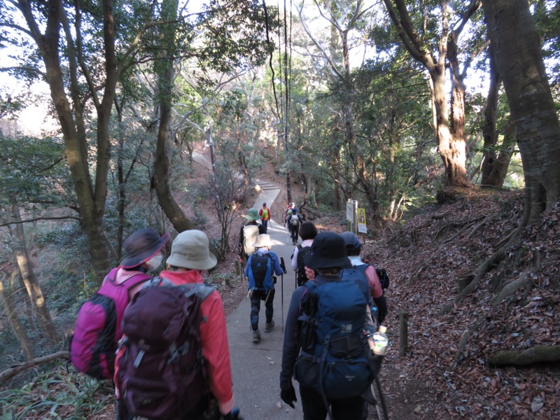 陣場山、高尾山