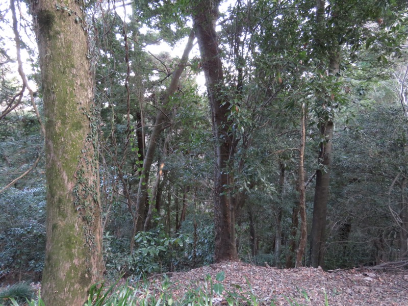 陣場山、高尾山