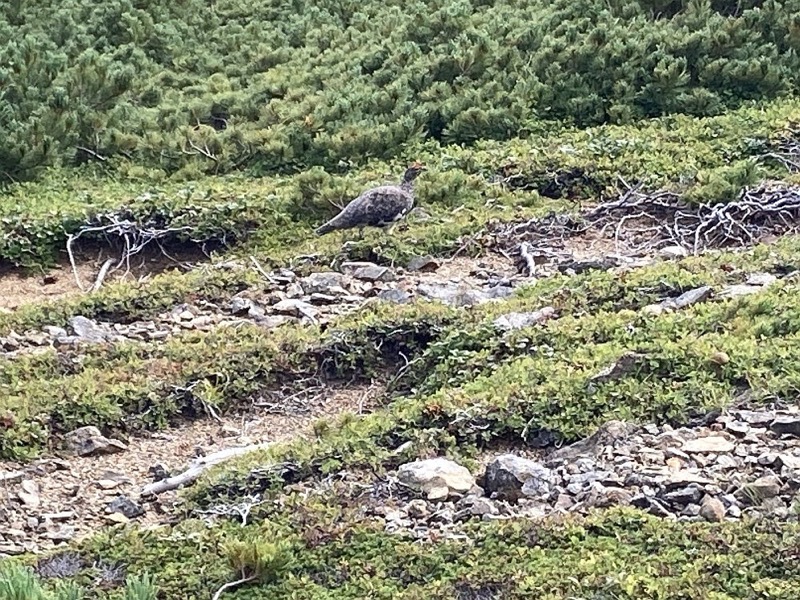 白馬岳、白馬三山