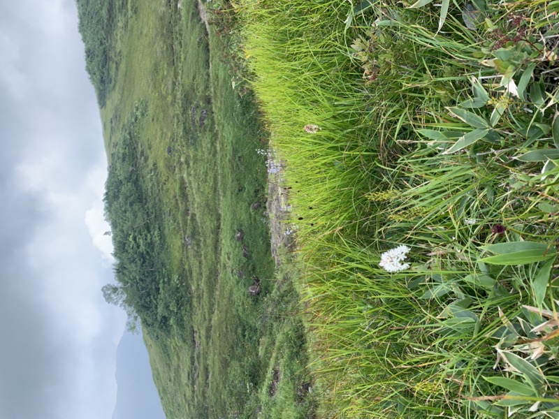 白馬岳、白馬三山