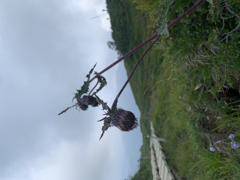 白馬岳、白馬三山