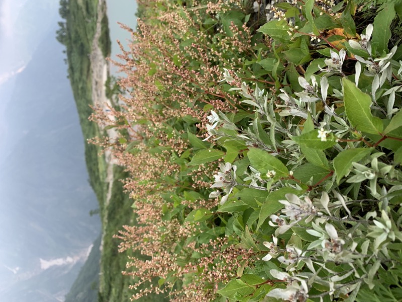 白馬岳、白馬三山