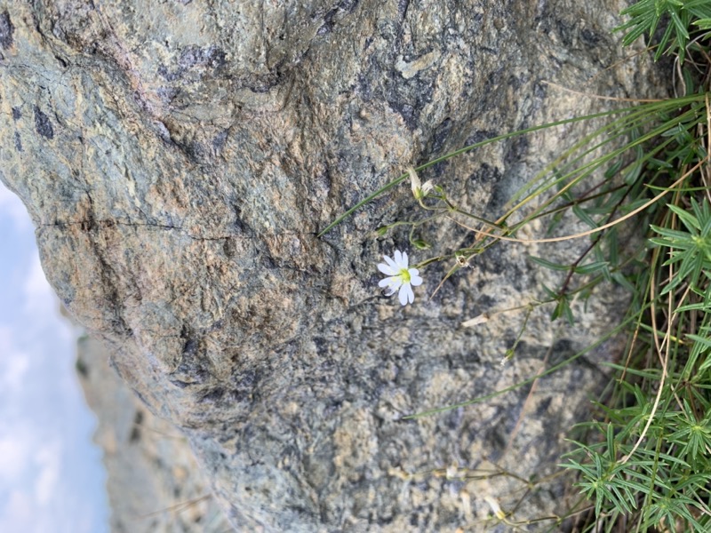 白馬岳、白馬三山