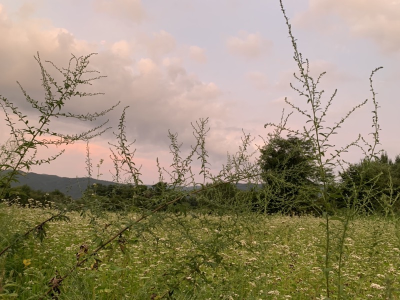 白馬岳、白馬三山