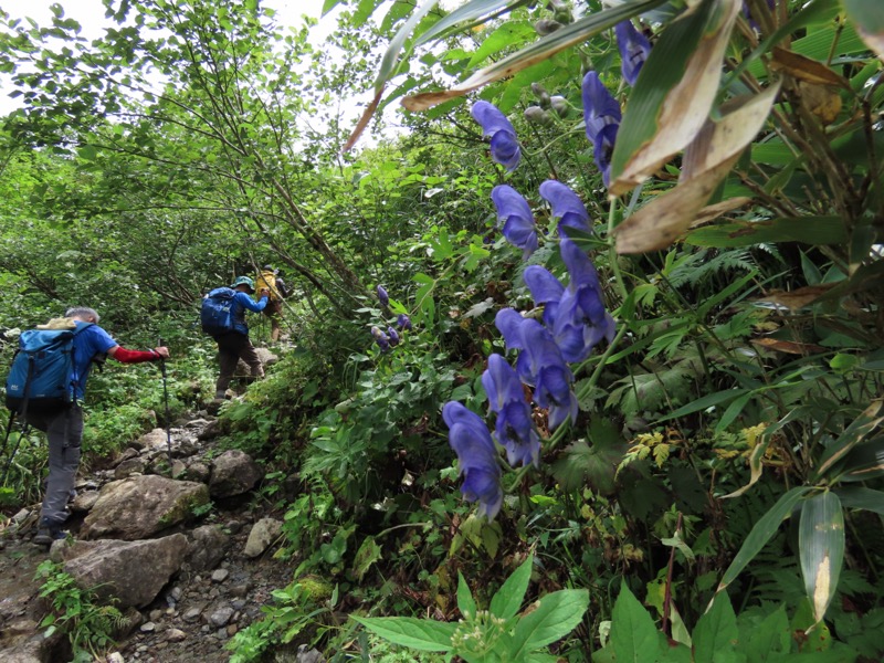 白馬岳、白馬三山