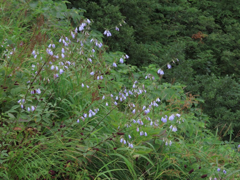 白馬岳、白馬三山