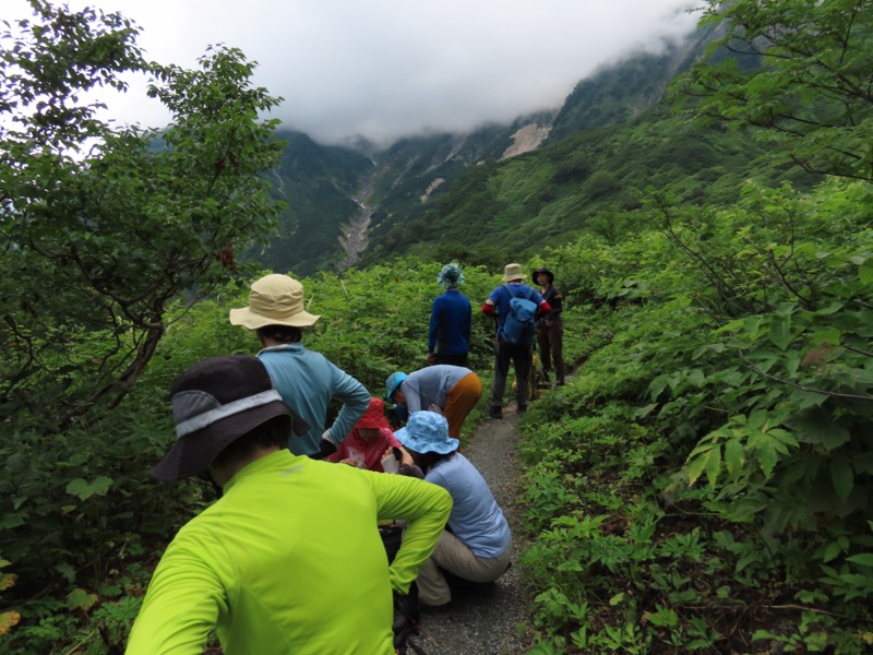 白馬岳、白馬三山