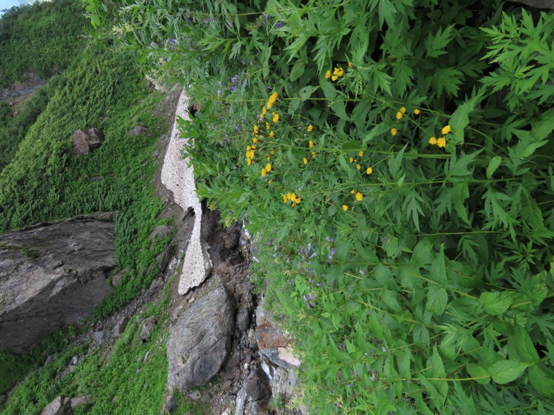 白馬岳、白馬三山