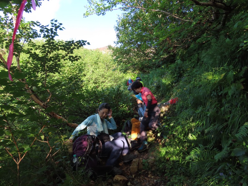 白馬岳、白馬三山