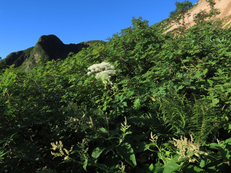 白馬岳、白馬三山