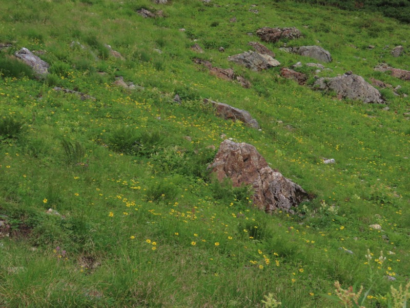 白馬岳、白馬三山