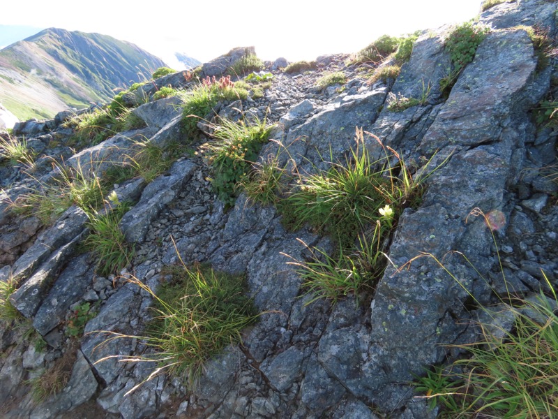 白馬岳、白馬三山