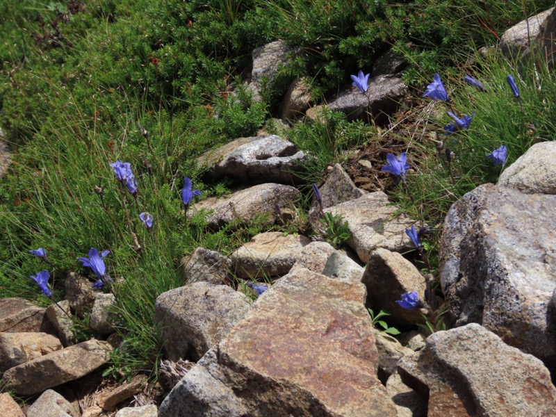 白馬岳、白馬三山